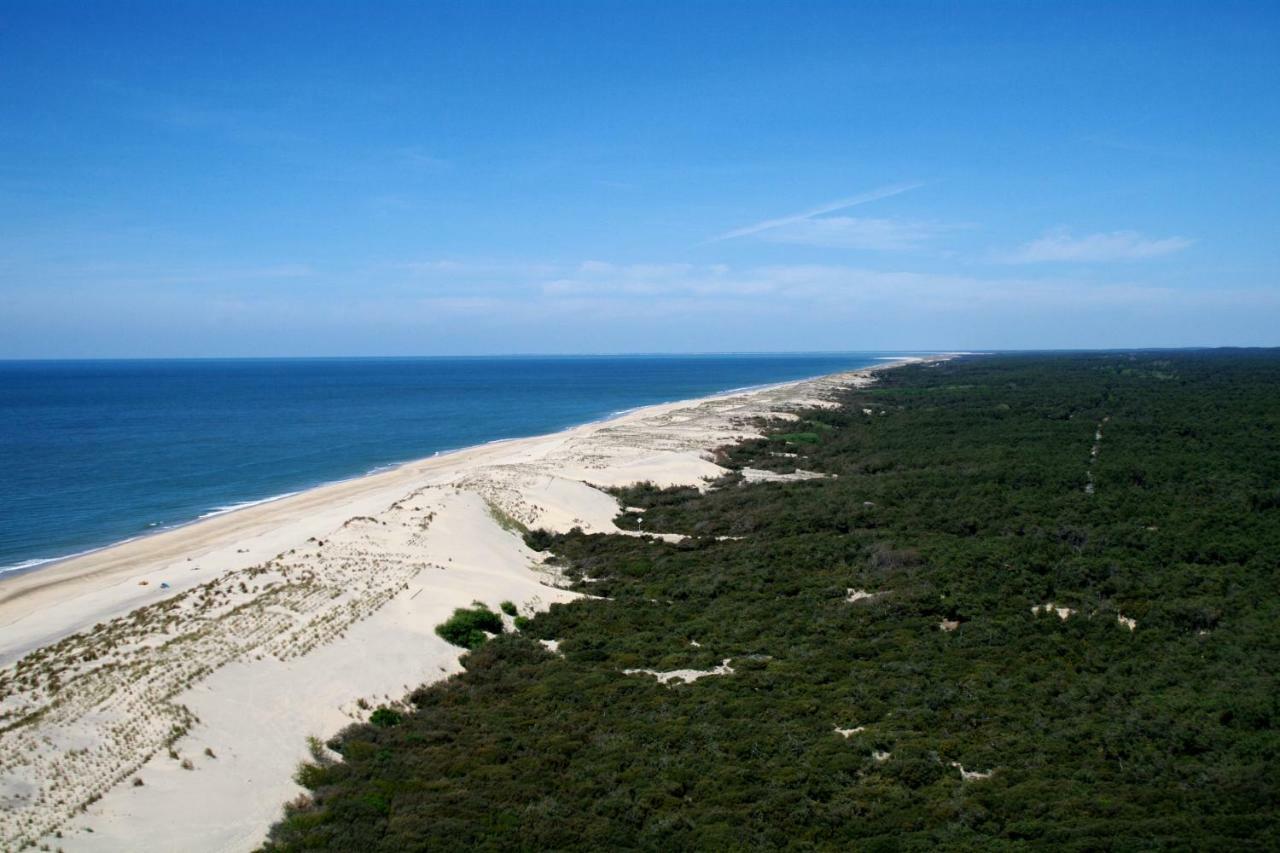 Bonne Anse Plage La Palmyre Eksteriør billede